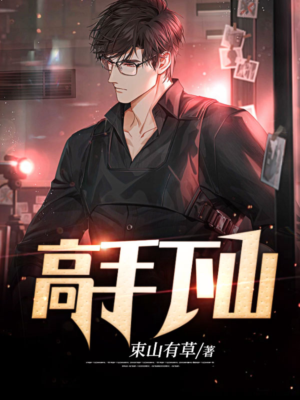 《高手下山》秦阳txt免费小说
